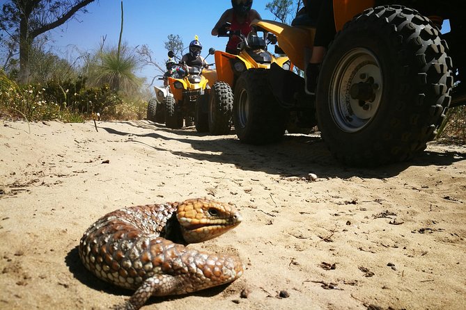 1 Hour Quad Bike Tours, Only 30 Minutes From Perth - Miscellaneous Information