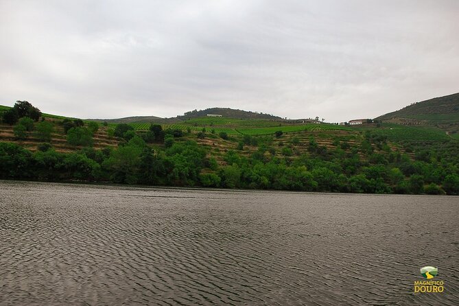 1-Hour Rabelo Boat Trip in Pinhão - Pricing Information
