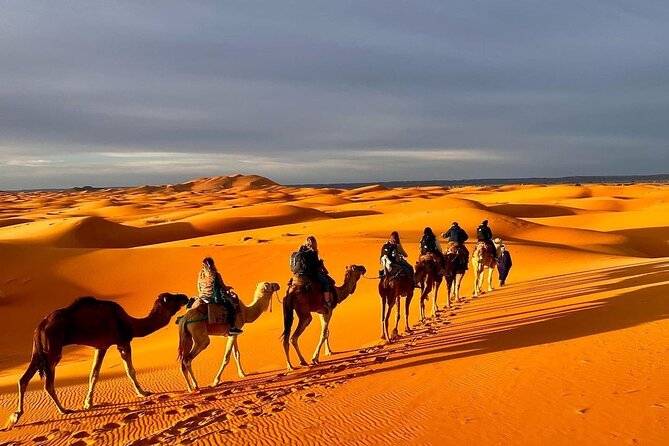 1 Night Camel Trekking in Merzouga - Cancellation Policy and Refund Details