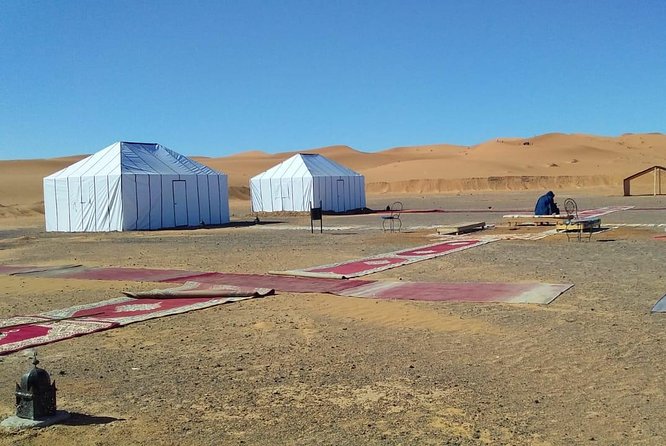 1 Night Camel Trekking Tour in Merzouga Desert Camp - Contact and Booking Information