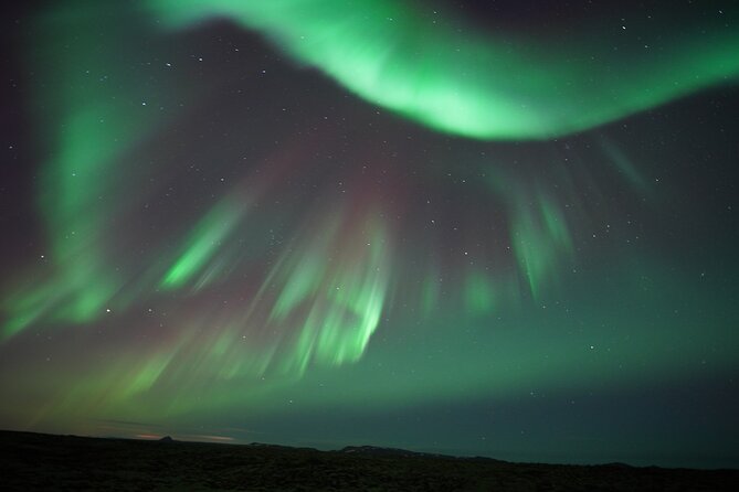 #1 Northern Lights Tour in Iceland From Reykjavik With PRO Photos - Convenience and Amenities