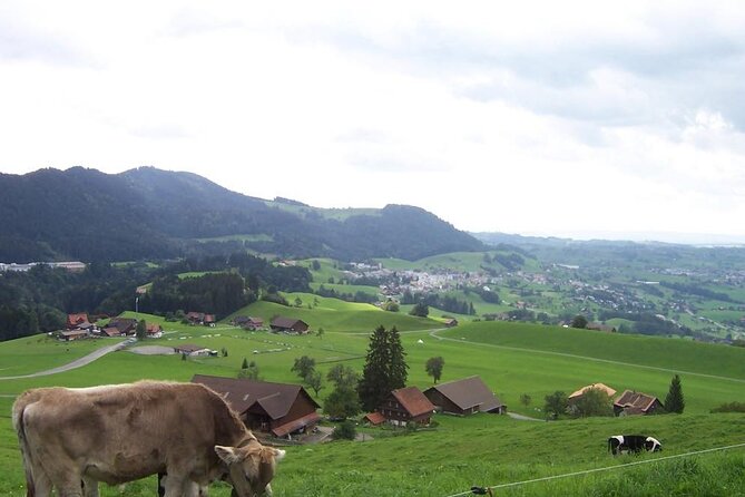 11-Day Private Lite Tour Across Switzerland by Bike From Geneve - Tour Details