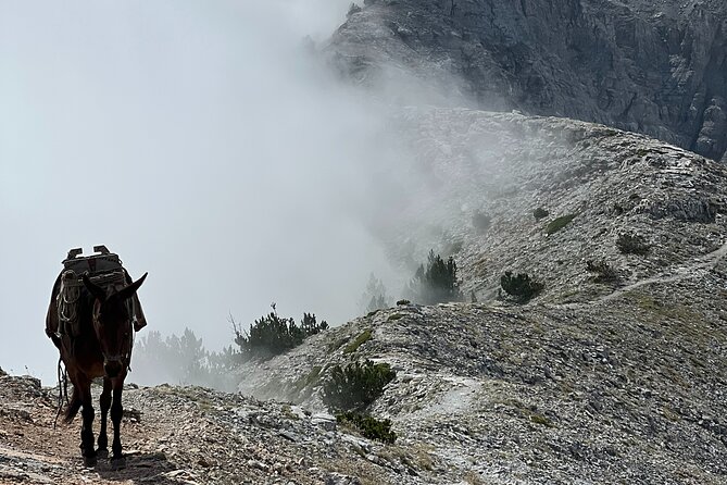 2-Day Hiking Tour in Olympus - Common Questions