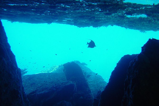 2-Day Similans Scuba Diving From Phuket - Common Questions
