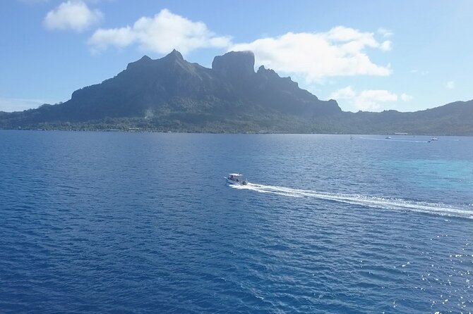 2 Dives in the Morning for Certified Divers in Bora Bora - Important Information and Restrictions