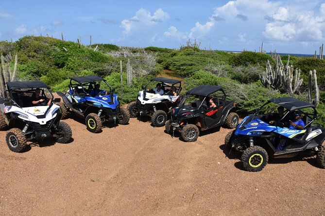 2-Hour Buggy Adventure Tour in Curacao - Whats Included