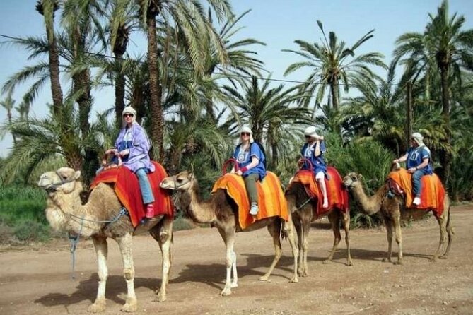 2-Hour Quad Bike & Camel Ride in Marrakech Palmeraie - Refreshing Tea Break and Olive Tasting