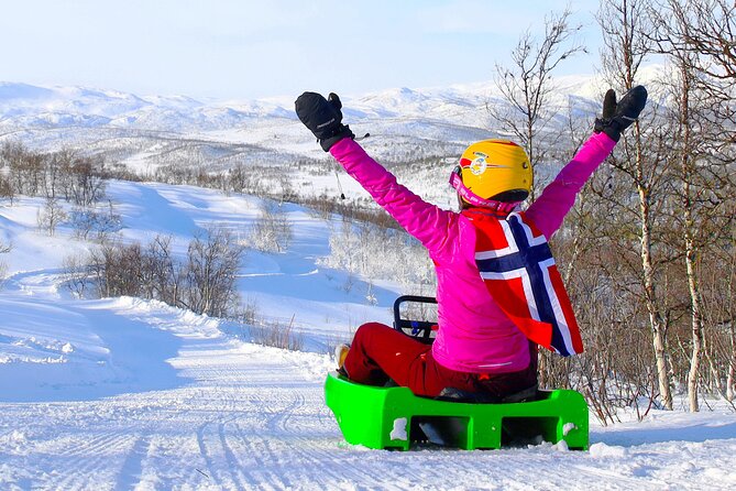 2-Hour Racing Toboggan at Dagali Fjellpark Near Geilo in Norway - The Sum Up