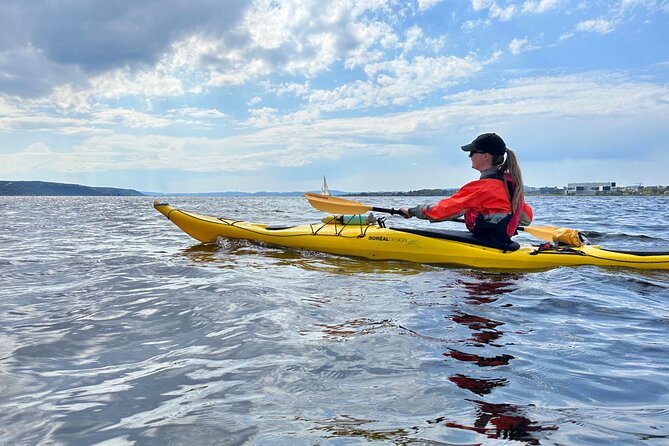 2 Hour Sea Kayak Tour on Oslofjord From Central Oslo - Directions to Mad Goats, Tjuvholmen