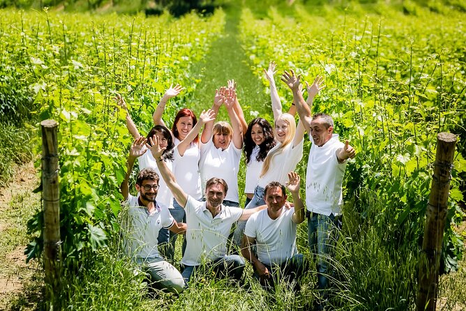 2 Hours Visit and Wine Tasting With Tastings in Val DOrcia - The Sum Up