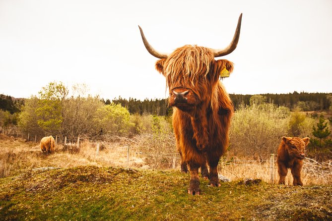3-Day Isle of Skye and Scottish Highlands Small-Group Tour From Glasgow - Cancellation Policy