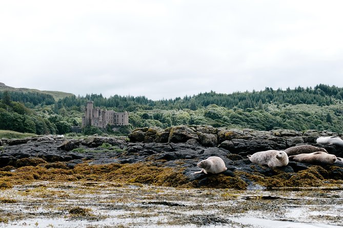 3-Day Isle of Skye and Scottish Highlands Tour Including "Hogwarts Express" Ride - Common Questions
