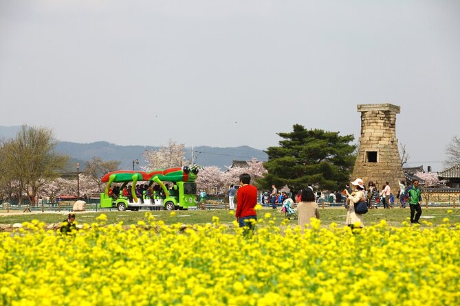 3-Day KORAIL Tour of Busan and Gyeongju From Seoul - Accommodation and Free Time