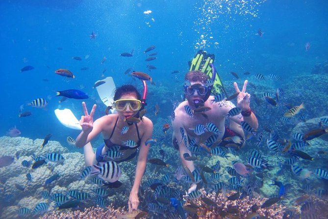 3-Day Nha Trang Scuba Diving - Experience Details and Duration