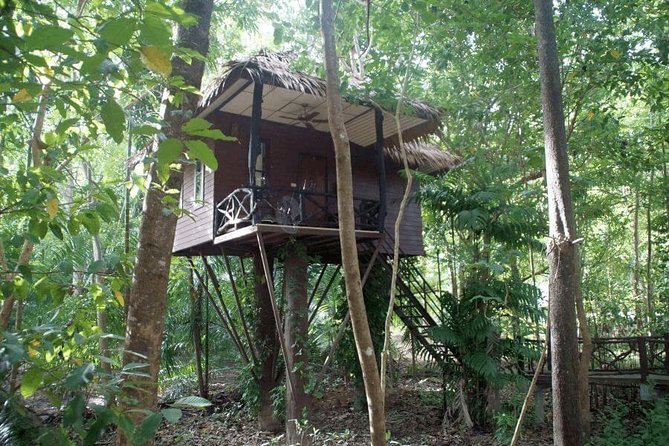 3-Day Private Khao Sok Safari From Phuket, Surat Thani or Krabi - Common Questions