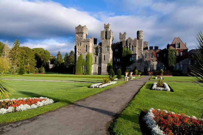 3-Day Southern Ireland Tour Including Galway and Kerry From Dublin - Feedback on Driver and Tour Guide