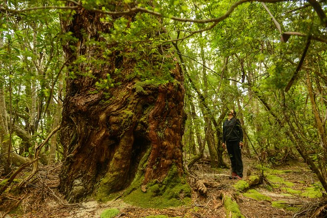 3-Day Southwest National Park Wilderness Camping Tour - The Sum Up