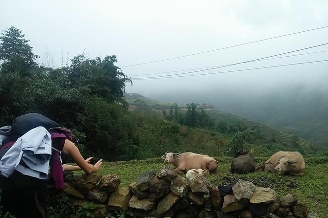 3-Day Trek in Amazing Muong Hoa Valley & Ethnic Homestay - The Sum Up