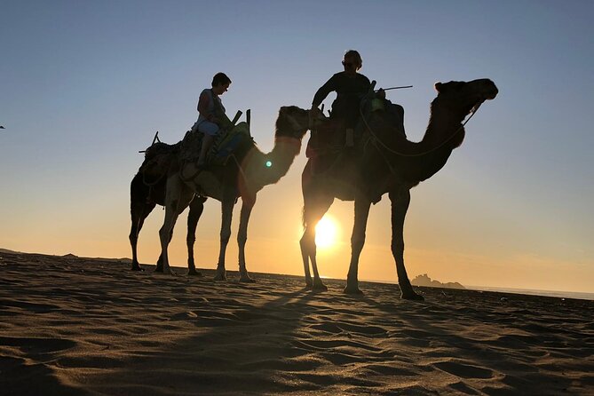 3-Hour Camel Ride at Sunset - The Sum Up
