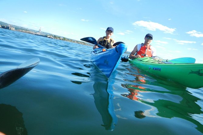 3- Hour Kayak Tour on the Oslofjord - Customer Reviews and Recommendations