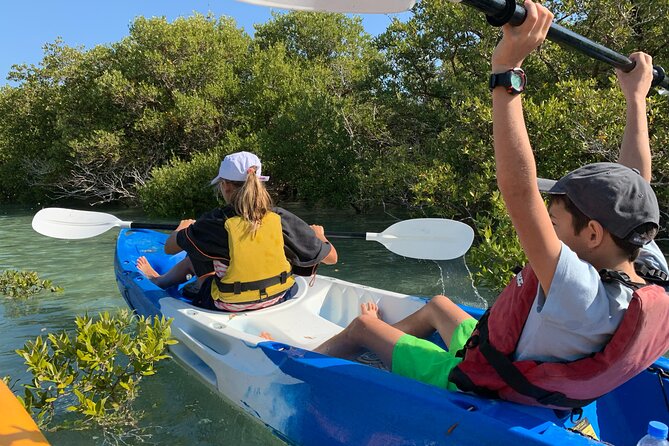 3-Hour Kayaking Eco Adventure - Mangrove Purple Island - Environmental Conservation Tips