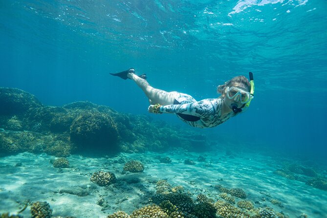 3-Hour Private Underwater Photo Session - Additional Information and Contact Details
