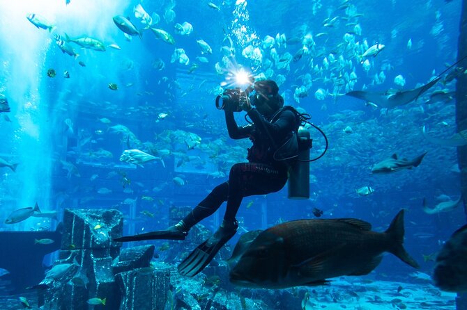 3-Hour the Lost Chambers Aquarium Tickets With Pick and Drop off - Directions for Visiting the Lost Chambers Aquarium