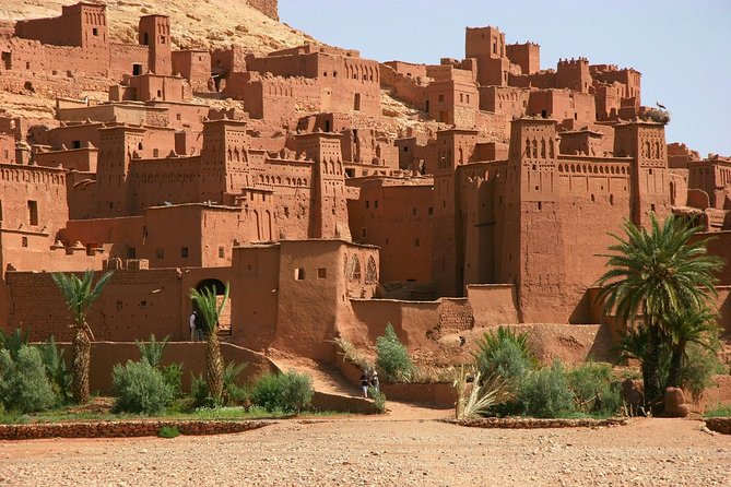 4-Day Private Sahara Desert Tour: 5-star Accommodations Only - Booking and Contact Information
