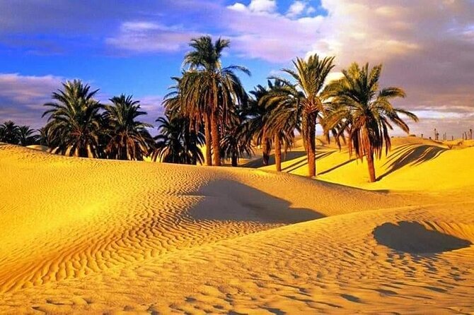 4-Day Private Tour: Sahara and Djerba Island From Tunis and Hammamet - Booking and Reservation Details