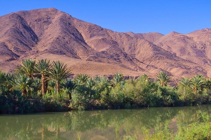 4 Day Sahara Desert Trip From Marrakech: Marrakesh - Sahara Desert - Marrakesh - The Sum Up