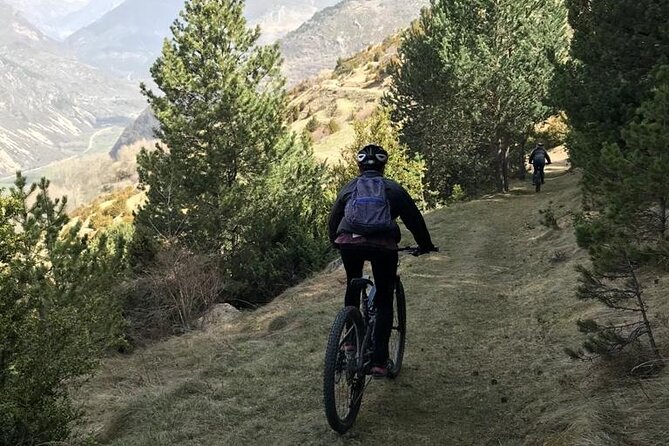 4-Hour Guided E-Bike Excursion in Aigüestortes National Park - Common Questions