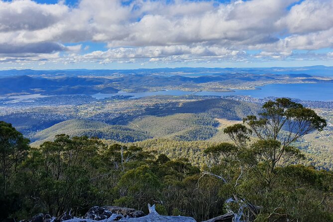 4-Hour Mt Wellington Arrival Tour With Organ Pipes Walk - The Sum Up