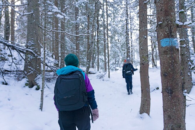 4 Hours Winter View of the Oslofjord Walk Tour - The Sum Up