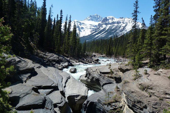 5-Day Rocky Mountains Coho Tour From Vancouver Finish Banff - Common Questions