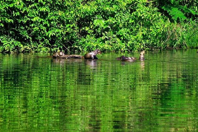 5-Day Tambopata National Reserve Tour of the Peruvian Amazon  - Puerto Maldonado - Cultural Exploration