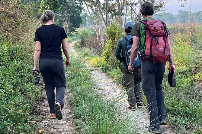5 Days and 4 Nights Guided Walking Tour in Chitwan National Park - The Sum Up