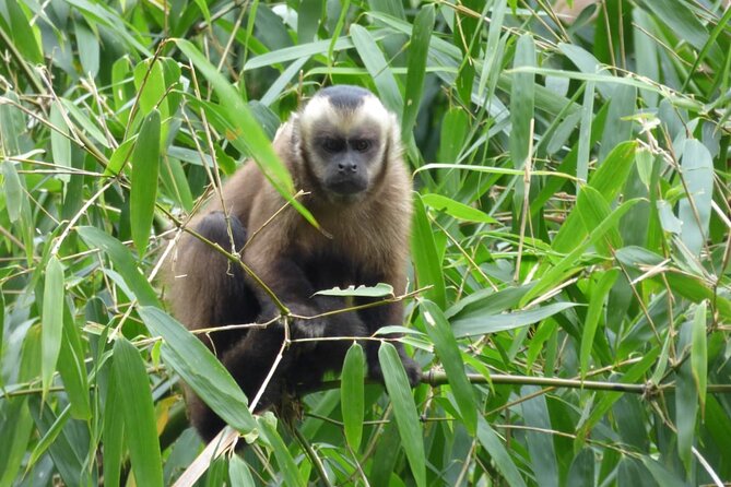 5-Days Private Manu Jungle Tour With Waterfalls and Hot Springs - Day 5 - Return to Cusco