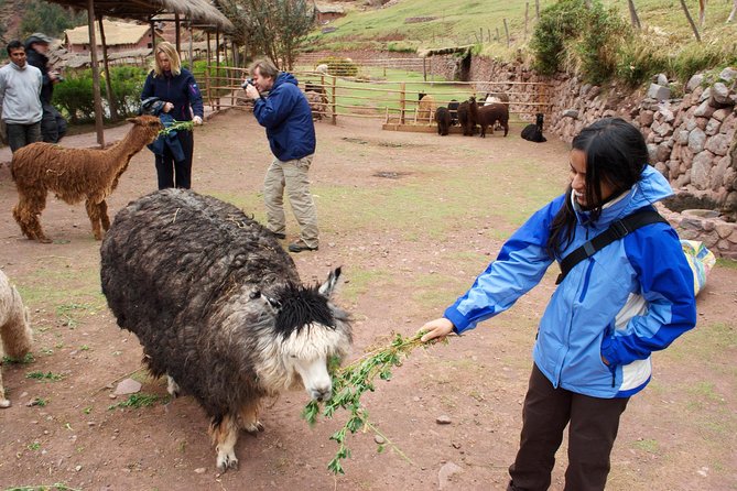 6 Days Exploring Cusco, Sacred Valley & Machu Picchu - Meeting and Pickup