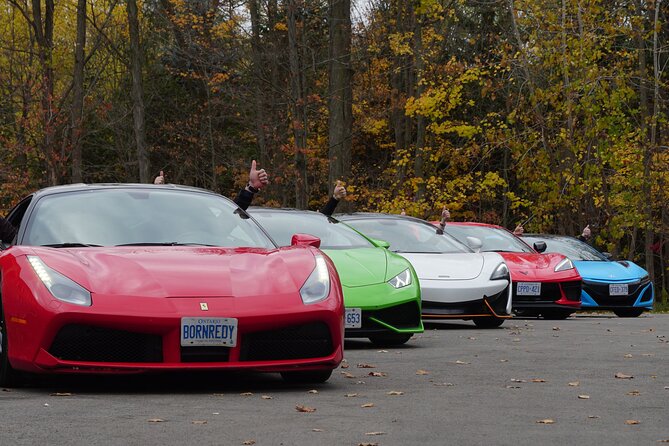 6 Hour Exotic Car Tour Driving 6 Super Cars Lunch - The Sum Up