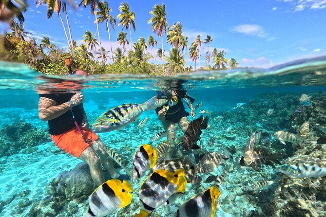 6-Hour Jetski Excursion Around Tahaa - Indulging in Tahaas Natural Wonders