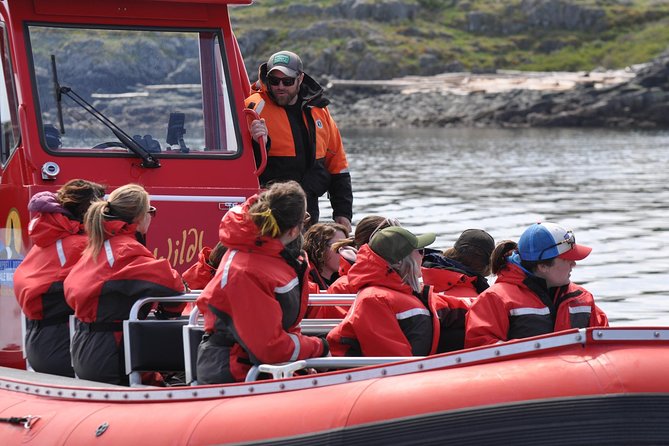 6 Hour Zodiac Whale Watching Tour - Booking Details and Contact Information