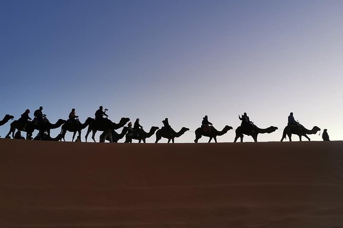 7 Days Discovery The Atlas Mountains & Luxury Sahara Desert From Casablanca - Common Questions