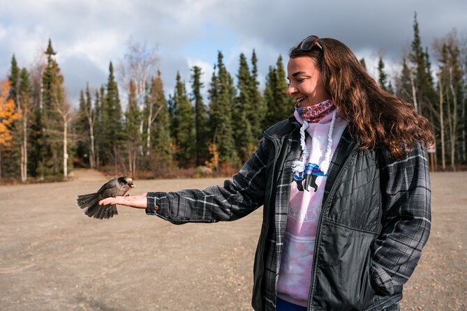 8-12 Hour Private Arctic Circle Experience in Alaska With Lunch - Common Questions
