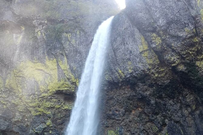 A Full Day of Wonder: Wine, Waterfalls, and Timberline Tour - The Sum Up