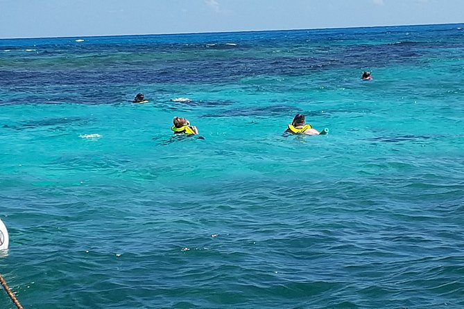 A Unique Private Snorkel Tour of Key Largo - Common Questions