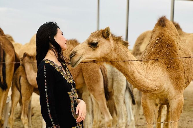 Abu Dhabi Desert Safari With BBQ Dinner & Live Shows - Tour Details and Highlights