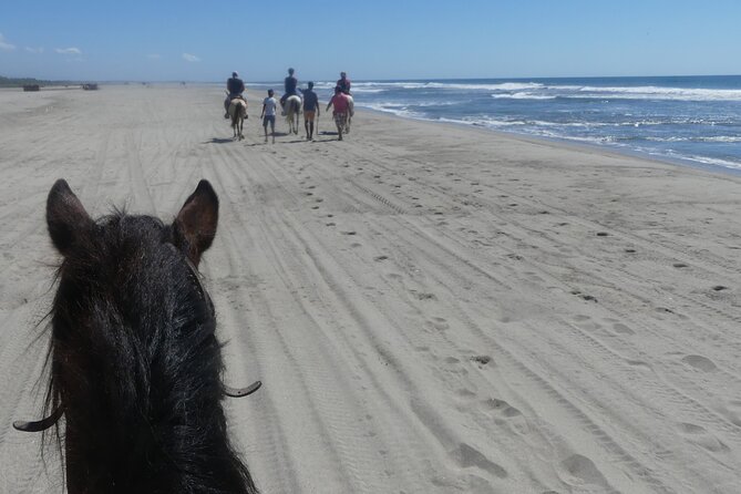 Acapulco Beach Horseback Riding Tour With Baby Turtle Release - Highlights
