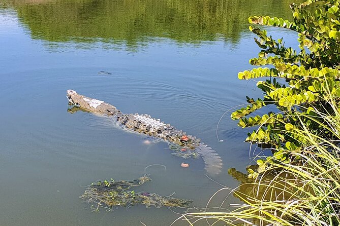 Acapulco to Tres Palos Lagoon, Boat Ride Tour Including Lunch - The Sum Up