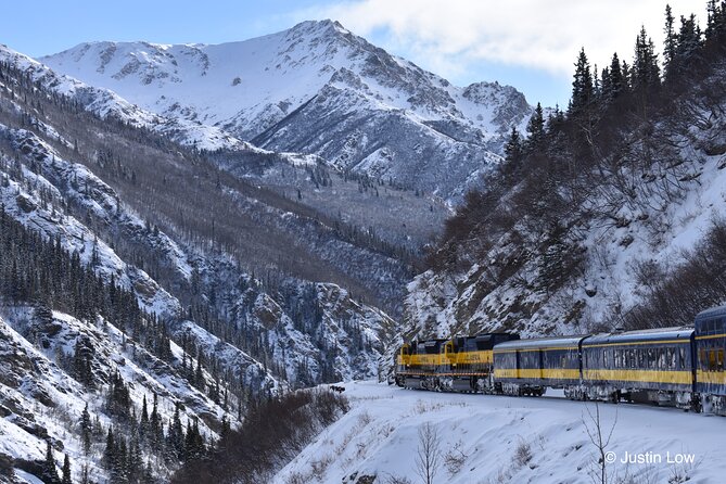 Alaska Railroad Aurora Winter Anchorage to Fairbanks One Way - The Sum Up