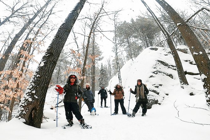 Algonquin Park Winter Adventure - Cozy Accommodations